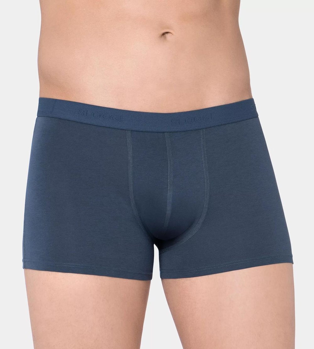 Sloggi 24/7 Shorts Szare | 49867-NIPD